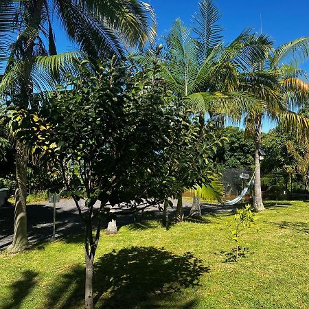 L'Escapade Creole Jacuzzi Privatif Bungalow Ananas Saint-Joseph Bagian luar foto