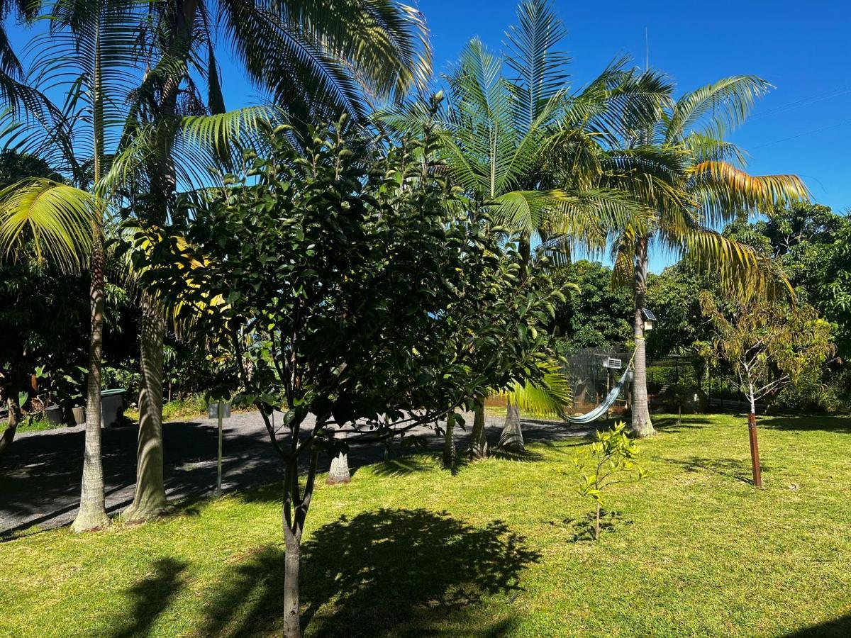 L'Escapade Creole Jacuzzi Privatif Bungalow Ananas Saint-Joseph Bagian luar foto