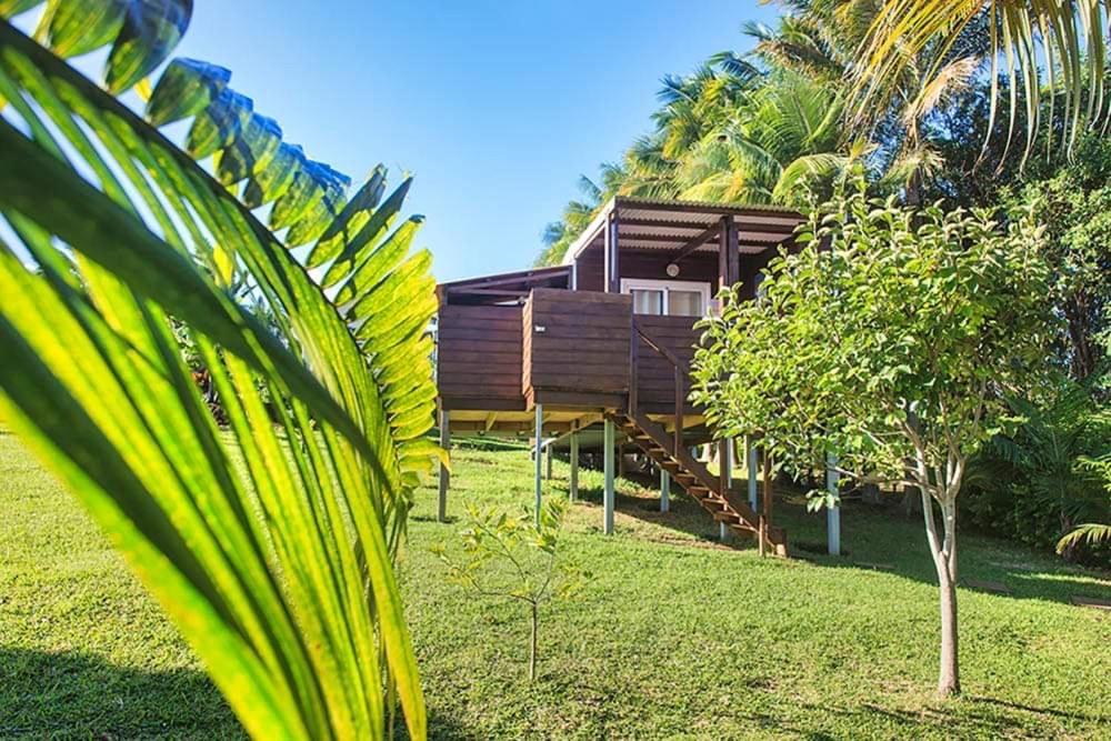 L'Escapade Creole Jacuzzi Privatif Bungalow Ananas Saint-Joseph Bagian luar foto
